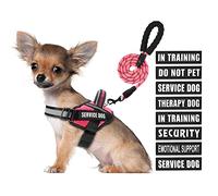 Animire in Training - Juego de arnés y correa para perro de servicio con 10 parches para perros, correa reflectante para perro con mango acolchado suave para perros pequeños, medianos, grandes y