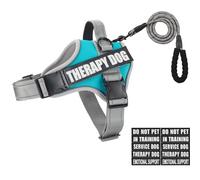 Animire - Juego de arnés y Correa para Perro, Chaleco Reflectante para Entrenamiento con 10 Parches, 3 Anillos, arnés de Terapia de Apoyo Emocional para Perros pequeños, medianos y Grandes (Verde