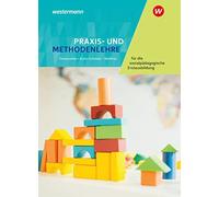 Anita Finkenzel Praxis- und Methodenlehre für die sozialpädagogische (Tapa dura)