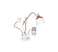 Anita Table Lamp: Daylight Lamp (6000K) for Crafts, Quilting, Sewing. Adjust Brightness, Color & Shade. Bonus: Tray, Magnifier, Phone Clamp