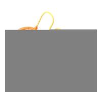 Ankle Skip Ball, Led Light Up, Jumping Toy with Ankle Loop, Active Game for Kids and Teens, for Playground, School, Backyard, Garden, Yard, Party, Fitness, Home, Outdoor Fun