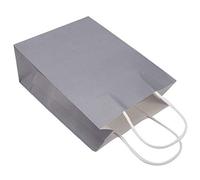 ANKROYU 25 Bolsas De Papel Kraft, Pequeñas Bolsas De Papel Para Compras, Bolsas Reutilizables Para Regalo De Dulces De Boda Con Asas Para Comestibles Minoristas De Pequeñas Empresas(Plata)