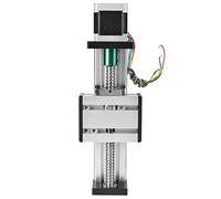 ANKROYU Carril guía lineal de husillo de bolas Mesa deslizante CNC de carrera de 300 mm con motor paso a paso 42 Etapa de movimiento lineal de aleación de aluminio de alta precisió (Tornillo 1610