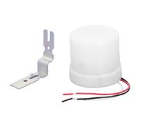 ANKROYU Interruptor de alumbrado público con fotocélula, automático para exteriores, 25 A, IP65, fotosensor con función de retardo para alumbrado público y alumbrado de caminos de (AC220-240V)
