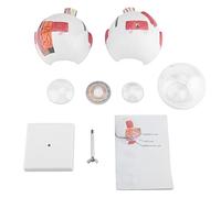 ANKROYU Modelo de anatomía del Ojo Humano Modelo de enseñanza de Globo Ocular extraíble con Aumento 6X con estructuras detalladas para Estudiantes médicos Material de PVC 16,5x15,5