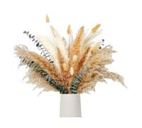 Anlising 120PCS Pampas Secas Decoracion, Hierba de Pampas Natural, Hierba de la Pampa, Decoración de Hierba de Pampas Seca, Ramo de Hierba, para Decoracion Hogar, Decoracion Boho Fiestas, Bodas