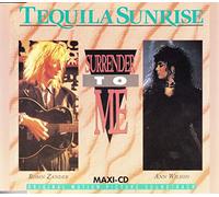 Ann Wilson & Robin Zander - Surrender to Me