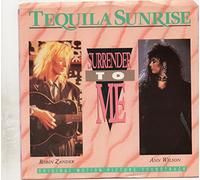 Ann Wilson - Surrender To Me