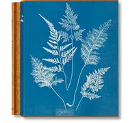 Anna Atkins. Cyanotypes