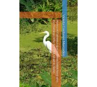 Anna y el Flamenco que no temía brillar Anna and the Flamingo Who Was Not Afraid to Shine