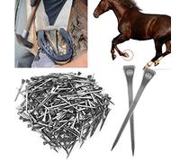 Annadue 250 Clavos de Herradura E6, Clavija de Acero, Clavo Firme Seguro para Pezuña de Caballo, Accesorio de Herramienta de Herrador