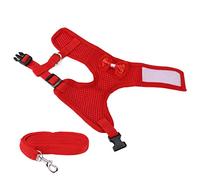 Annadue Arnés de Pollo, Chaleco Ajustable para Gallinas con Correa, Chaleco Transpirable Cómodo y Transpirable para Gallos de Gallina (Rojo)