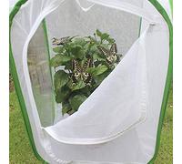 Annadue Jaula Plegable para Insectos, Casa de Plantas con Cremallera de Malla Ventilada, Recinto para Criadores de Transmisión de Luz para Jardín de Mariposas