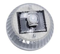 Annadue Luz Solar Flotante para Piscina, Luz Flotante para Estanque que
