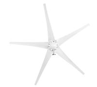 Annadue Turbinas Eólicas de 800W, Generador de Molino de Viento Pequeño de 5 Aspas para Suministros de Equipos de Maquinaria Industrial Doméstica (24V)