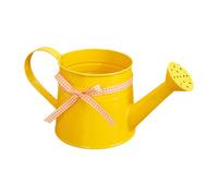 Annaffiatoio - Capacità 1 L, Testa A Pioggia Design Pratico E Nastro A Quadri - Ideale per Annaffiare Fiori, Piante Da Giardino, Bonsai | per Ufficio, Balcone, Interno Ed Esterno, Sem