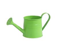 Annaffiatoio per Piante Da Interno - Ferro 9.65 Pollici con Beccuccio Lungo | Annaffiatoio Da Giardino, 1L Strumento per Casa Serra Cortile Viale Paesaggio Fiori Bonsai