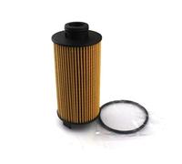 ANNBCDL Filtro de aceite de coche Compatible Borgward BX5 1,8 T/2,0 T 2016- Borgward BX6 2,0 T 2017- BX7 2,0 T 2015- BX7 TS 2,0 T 2017- Foton Savana A700000017