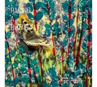 Anne mette iversen quartet plus 1 - Racing a butterfly [Vinilo]