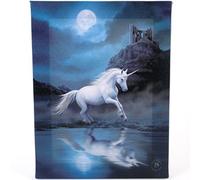 ANNE STOKES Lienzo decorativo pequeño con diseño de unicornio de luz de luna