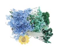 Anneome 1 Paquete Manualidades en Flores secas para Manualidades Artesanía álbum de Recortes Flores prensadas Flor Seca Hecha a Mano Material de Flores secas