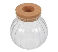 Anneome Macetero de Vidrio Hidropónico Pequeño Transparente para Propagación de Plantas Acuáticas, Jarrón Redondo de Hidrocultivo para Interior con Tapa de Corcho, Decoración de