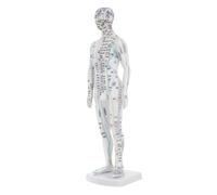 Anneome Modelo De De Medicina Tradicional China Dispositivo De Eléctrico Maniquí De Punto De Acupuntura Modelo De Laboratorio Para Hospital