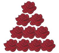 Anneome Parches Bordados de Flores Termoadhesivos para Manualidades, 10 Piezas, Color Multicolor, Resistentes al Desgaste, para Ropa, Sombreros y Mochilas, Ideales para Niñas