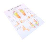 Anneome Póster Tabla De Reflexología Podal 38x30-40 Cm, Poster Informativo Para Masaje De Pies, Arte Mural Resistente Para Decoración Del Hogar y Oficina