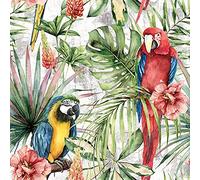 Anniversary House PJ340051 - Servilletas de almuerzo (33 cm, 20 unidades), diseño de loros, guacamayos tropicales, 3 capas, multicolor