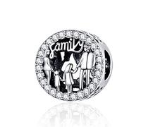 Annmors Abalorio de plata de ley 925 con texto en inglés I Love My Family,con circonitas transparentes,para mujeres europeas,madres,hijas,pulseras y collares colgantes