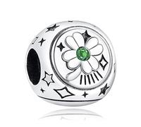 Annmors Charm Clover, Horseshoe & Ladybird Charm Abalorios Colgante de Cuentas Plata de Ley 925 Circonita Cúbica Compatible con Europeo Pulseras Collar,Charms de Festival Cumpleaños Para Mujer Niña