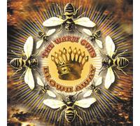 Anno 1630 by Lorenzo Ghielmi, Enrico Onofri, Margret K·ll (2003-08-05)