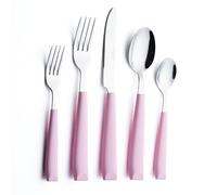 ANNOVA Juego de cubiertos de acero inoxidable, mangos de colores, tenedores, tenedores de ensalada, cuchillo de mesa, cucharada y cucharadita (Rosa claro, 20 piezas)