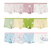 Anntry Niños Paquete de 12 Calzoncillos Suaves y cómodos Algodón Ropa Interior Niñas Surtidas Boyshort Bragas 2-12 años