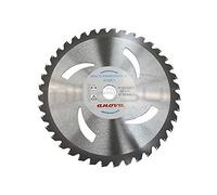 ANOVA Disco de Widia para Desbrozadora | 255 mm de diámetro | 40 puntas | Grosor 2 mm | Eje 25,4 mm | Pastillas de metal duro | Para maleza densa, zarza y tallo leñoso