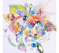 ANRI KUMAKI - Best Album