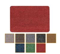 ANRO Felpudo antisuciedad, lavable, impermeable, resistente, para entrada, puerta, pasillo, cocina, dormitorio, poeta, 40 x 60 cm, color rojo