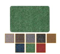 ANRO Felpudo antisuciedad, lavable, impermeable, resistente, para entrada, puerta, pasillo, cocina, dormitorio, poeta, 40 x 60 cm, color verde