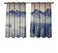 Anshesix Nature Outdoor Ultraviolet Protective Curtains Snowy Winter Dramatic Overcast Sky Wonderland Snowfall Seasonal Panorama Print W63 x L63(160cm x 160cm)