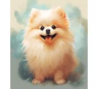 ANSIWEIGO Pintura por números para adultos,perro pomerania animal,pintura por números sobre lienzo,pintura de bricolaje,dibujo artístico para regalo de principiante,40x50 cm,sin marco