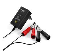 Ansmann 1001-0015 - ALCS 2-12 Cargador de vehículos para baterías de automóviles, Motos, Motocicletas, de Plomo-Gel de Plomo 12V 6V 2V