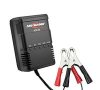 ANSMANN Cargador de batería para pequeños vehículos - 2V, 6V, 12V y 24V pilas de plomo - a partir de 1,3 Ah - Corriente de carga 300mA - 900mA