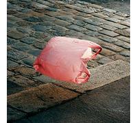 Ant Antic - Good Vids, Vile Times [Vinilo]