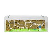 Ant Farm Big with Free Ants and Queen - Educational formicarium for Live Ants