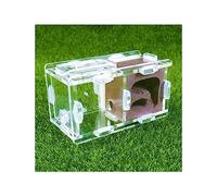 Ant Farm - Mini nido de hormigas, experimento científico de granja, nido de insectos formicarium, yeso acrílico, casa de hormigas pequeñas para reina joven y colonia pequeña, hormigas vivas y reinas