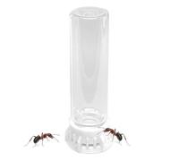 Ant Feeder Station, Transparent Water Bowls, Heavy Duty Nest