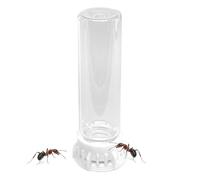 Ant Feeder, Transparent Water Bowl, Non-Slip Pet Station, Portable Heavy-Duty Design, 3.94x1.18x1.18 Inches, Ideal for Ant Nest Hydration, Farm Use, Indoor Care, Easy