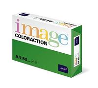 Antalis Coloraction 89617 - Papel para fotocopiadora (A4, 80 g/m², 500 hojas), color verde