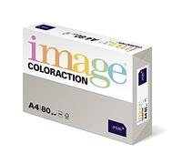 Antalis Coloraction - Papel para fotocopiadora (A4, 80 g/m², 500 hojas), color gris claro